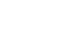 Vinylize logo